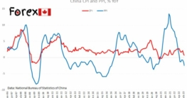 China's Inflation and Producer Price Index Decrease